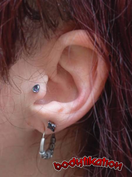 Piercing du tragus à Bordeaux et alentours : où trouver un salon de piercing professionnel safe
