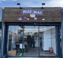 MIAO MIAO à talence